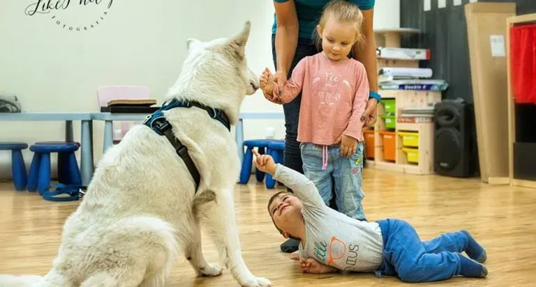 Dogoterapia: Jak pomaga 30 200 osobom w Polsce