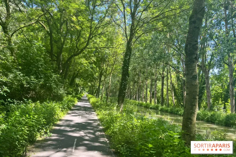 Wycieczki rodzinne w Paryżu – Marzec 2025: Bezpłatne atrakcje